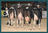 S&eacute;lection Top 30